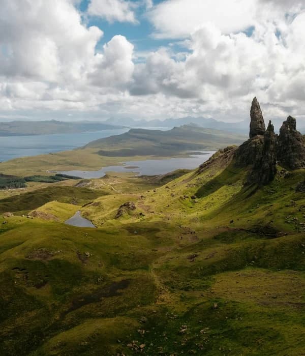 Scottish nature and greenery